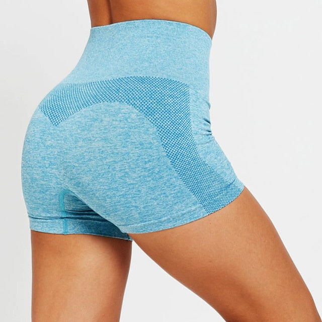 Nyla Essential Seamless High Waist Sports Compression Shorts